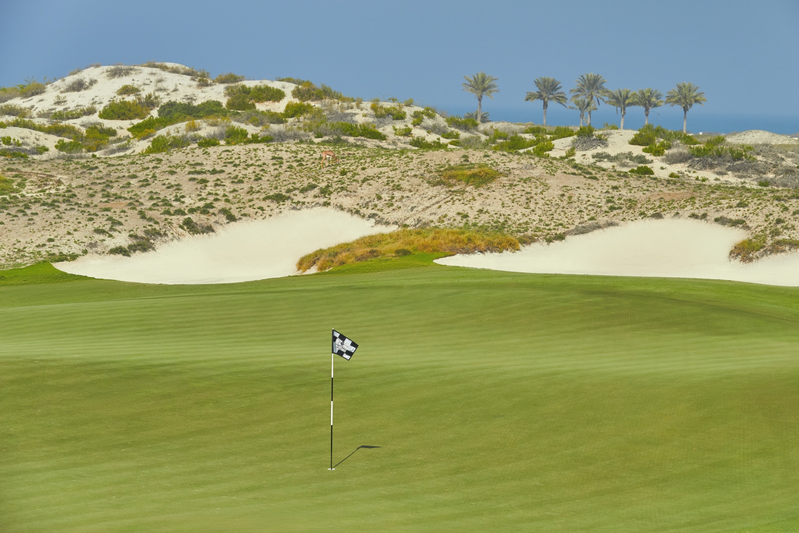 Saadiyat Beach Golf Club (